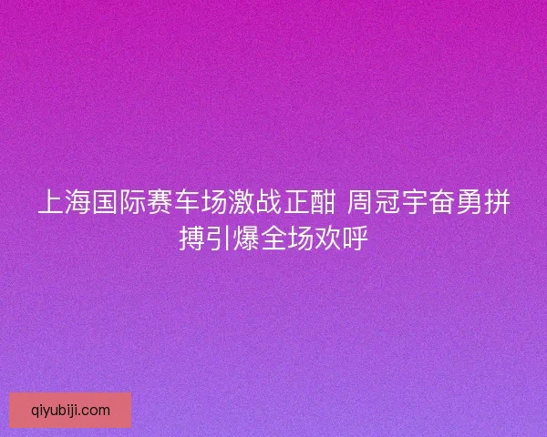 上海国际赛车场激战正酣 周冠宇奋勇拼搏引爆全场欢呼